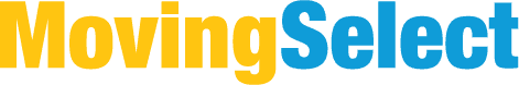 MS logo